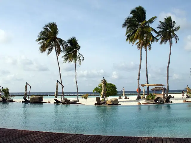 There is water, beach chairs, trees and water at the back.