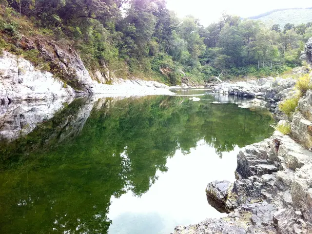 This picture shows water and few trees and rocks.