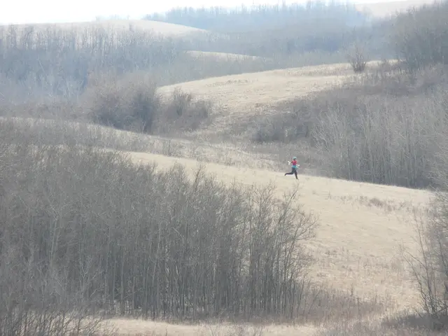 In this image there are trees and in the center there is a person running.