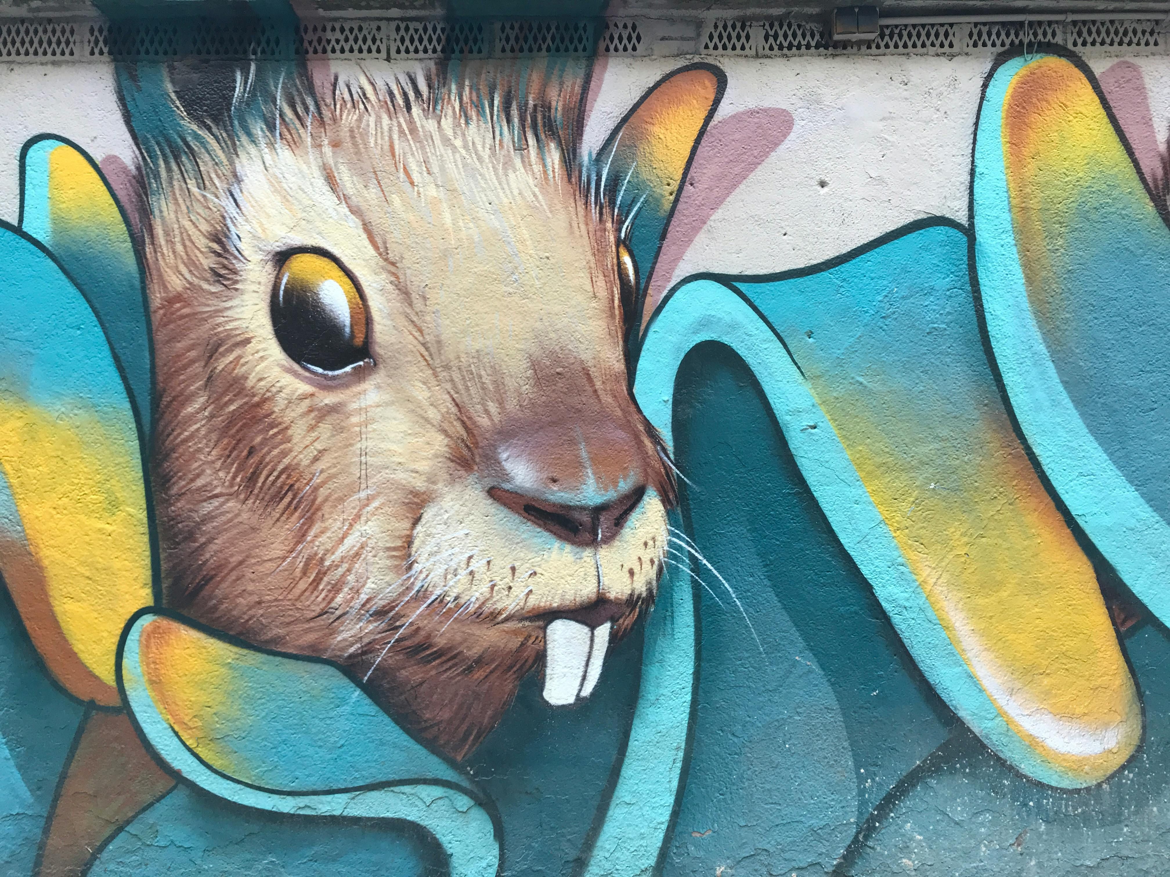 Meerkat's aggressive marketing strategy, comprising of influencer collaborations, local promotional endeavors, and user-driven viral spread, targets a massive audience.